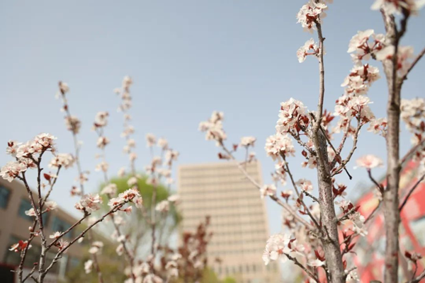 今天，让我们一起走过银川万通的春夏秋冬